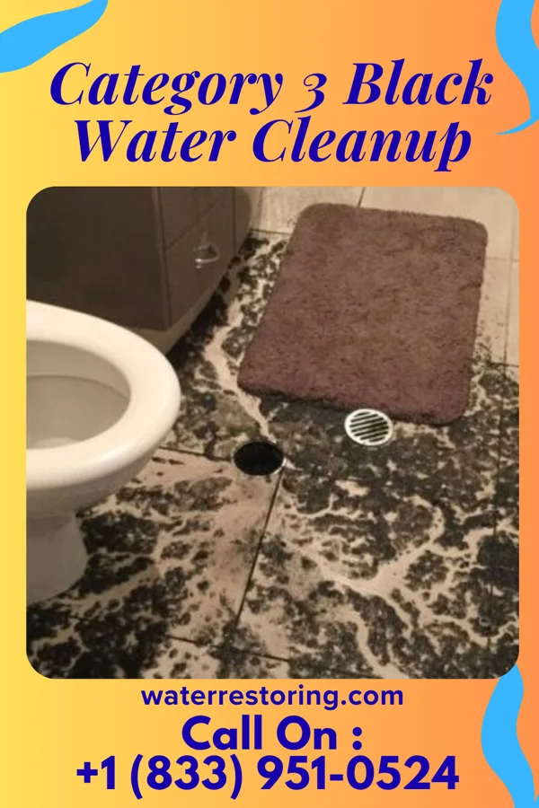 Category 3 Black Water Cleanup in Fielding, UT