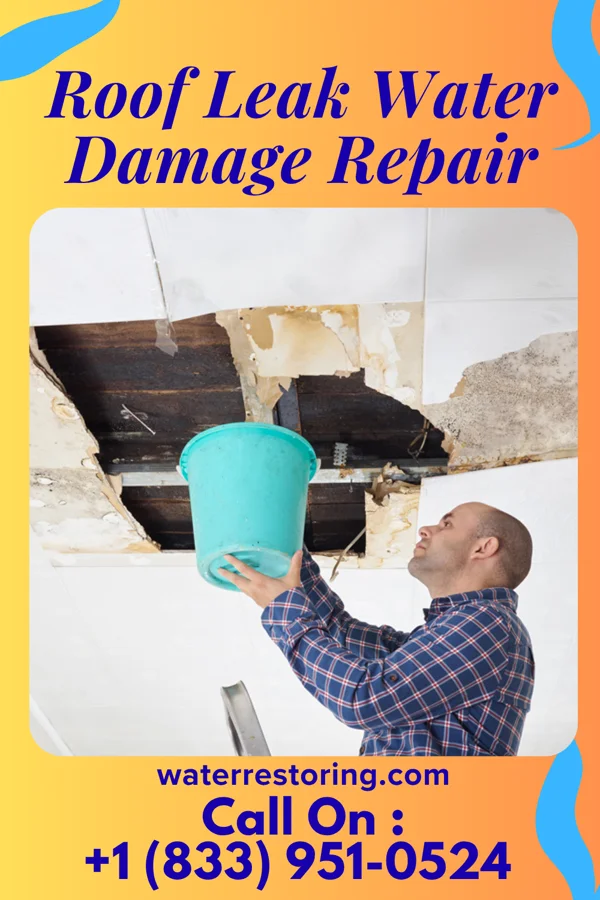 Roof Leak Water Damage Repair in Fielding, UT